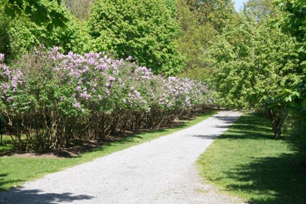 Вилла Shelter Island Hidden Estate East Marion Экстерьер фото